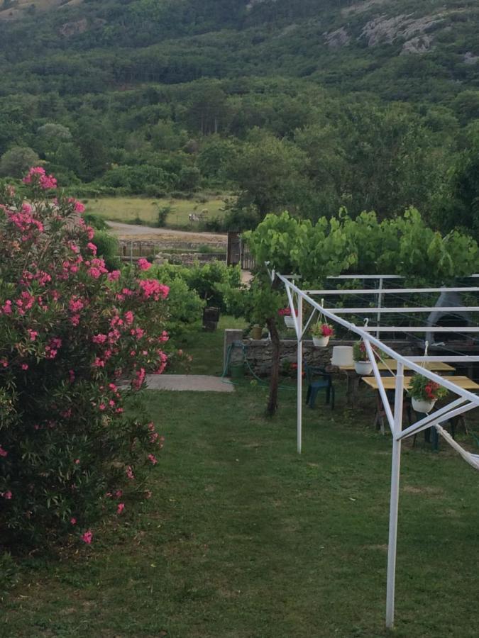 Guest House Darinka Draga Bašćanska Esterno foto