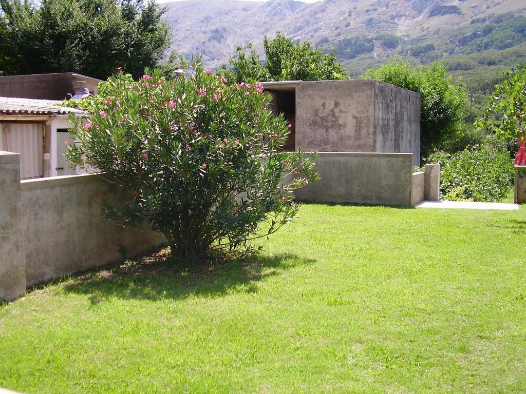 Guest House Darinka Draga Bašćanska Esterno foto